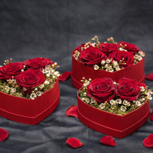 ChatGPT Image Feb 3, 2026, 05 39 34 PM